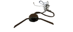 image-2ca0b09e2f394e06b18154d0eb96c5e9