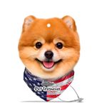 image-fdf31c969a4e43ee89959aa30b126150