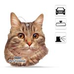 image-6d657accc5134b68bd3a72cadda88413