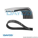 image-04fb5cd9796a4abaada12cf74c7c28b1