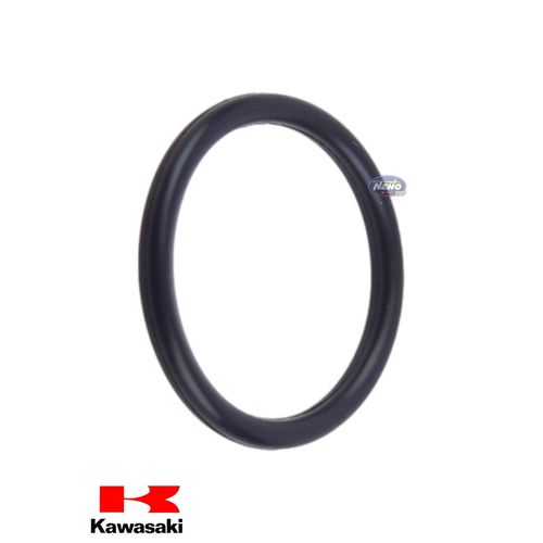 Anel de Vedação da Vareta de Óleo do Motor Original Kawasaki