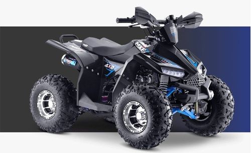 Mini Quadriciclo Brave 110cc Partida Eletrica Ao 7x7