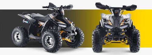 Mini Quadriciclo Brave 110cc Partida Eletrica Ao 7x7