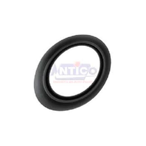 Borracha Vedacao Anntena Teto Vw/gm/ford