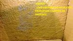 image-69cd8e7f772047bda5dea5068743eeca