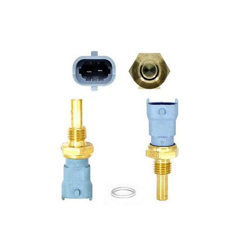 Sensor Temperatura Injecao Eletronica