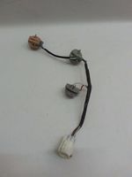 image-cc1168a899084e75bd55e0777b239343