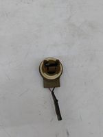 image-ba156c65cafd498b9225b5dad9c5846e