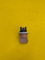 image-a9b237c1aec3419d8e86649be88c8874