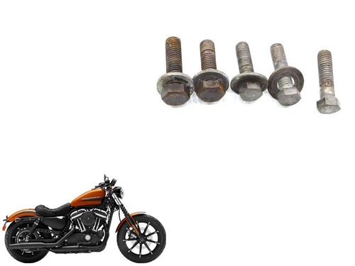 Parafuso Coroa (prisioneiro) Harley-davidson Iron 883 10-1