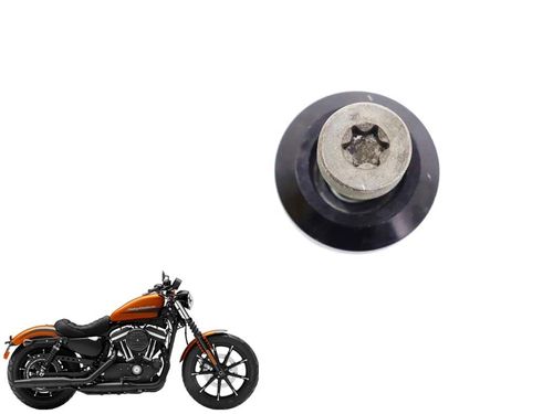 Parafuso Coluna Direção Harley-davidson Iron 883 10-1