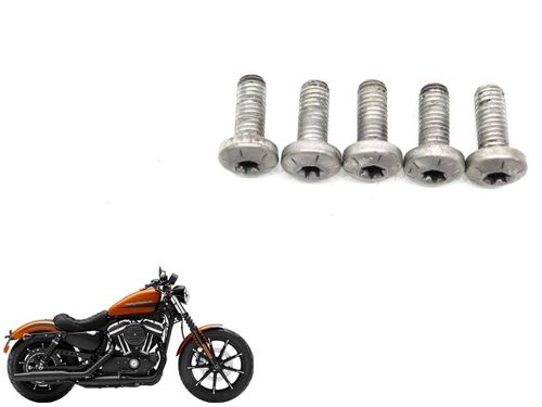 Parafuso Disco Freio Traseiro Harley-davidson Iron 883 10-1
