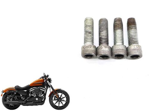 Parafuso Suporte Pedaleira Harley-davidson Iron 883 10-1