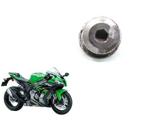 Parafuso Pedal Freio Kawasaki Zx 10 Zx10 16-2