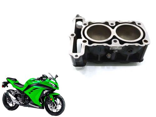 Cilindro Para Retifica Kawasaki Ninja 300 13-18