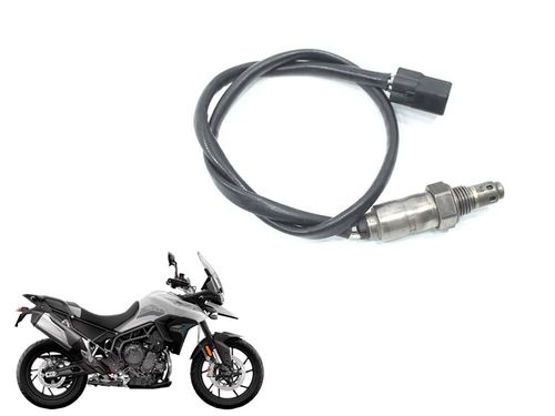 Sonda Lambda Triumph Tiger 900 Gt  20-23