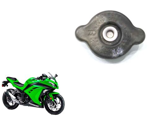 Tampa Radiador Kawasaki Ninja 300 Ninja300 13-18