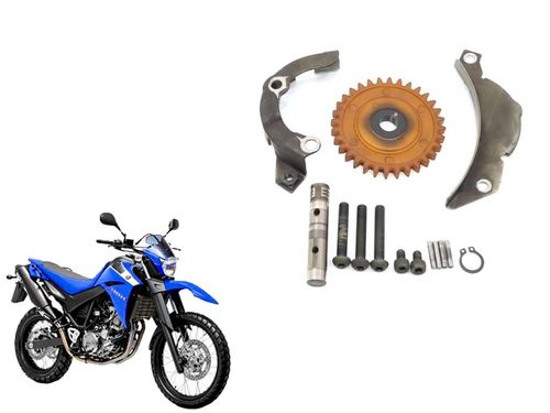 Engrenagem Bomba óleo Yamaha Xt 660 05-18 (