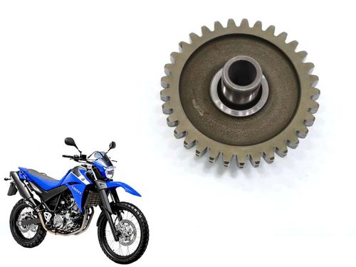 Engrenagem Redução Partida Yamaha Xt 660 05-18 (