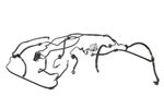 image-1f0ede4fc1164008bc448e4f41dab212