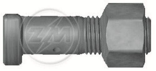 CJ PARAFUSO RODA 18 X 60 DT SC 110/111/112