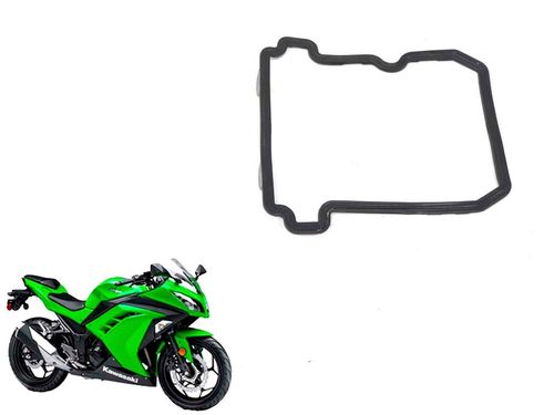Junta Tampa Válvula Kawasaki Ninja 300 Ninja300 13-1