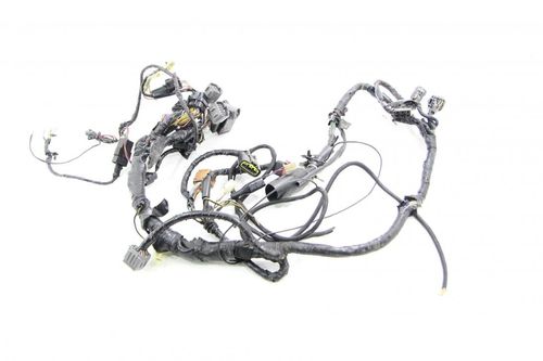 Chicote Principal Kawasaki Zx 10  2003-2005