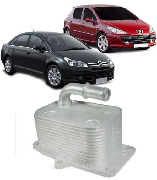 Resfriador Trocador de Calor Motor Peugeot 307 308 Citroen C4 2.0 16V ? 2007 a 2017