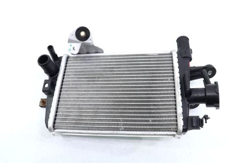 Radiador Direito Bmw R 1250 Gs R1250gs 19-20