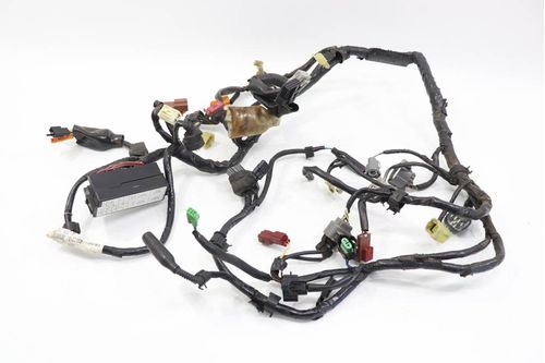Chicote Principal Honda Xl 700 V Transalp 11-12