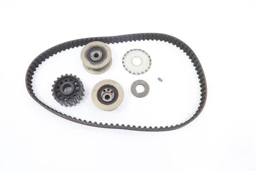 Correia Guia Tensor Tras. Ducati Multistrada 1200 Enduro 19-19