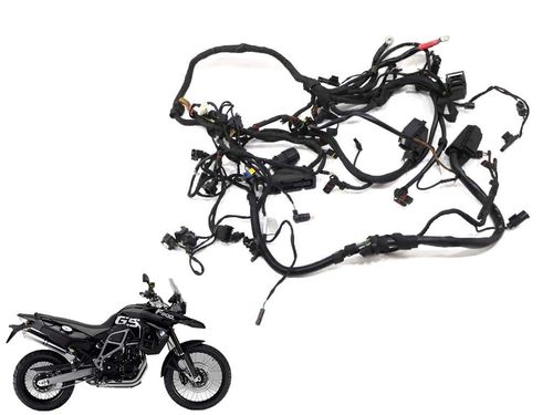 Chicote Principal Bmw F 800 Gs F800gs 09-1