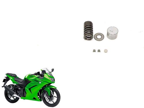 Kit Mola de Escape Kawasaki Ninja 250 R Ninja250r 08-1