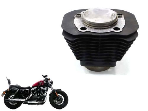 Cilindro Com Pistão Anéis (f) Harley-davidson Xl 1200x Forty Eight 16-19 C/avaria
