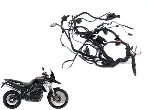 Chicote Principal Bmw F 800 Gs ADV 17-18 C/detalhe (