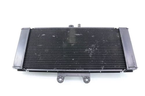 Radiador Suzuki Gsx 650 F Gsx650f 09-10