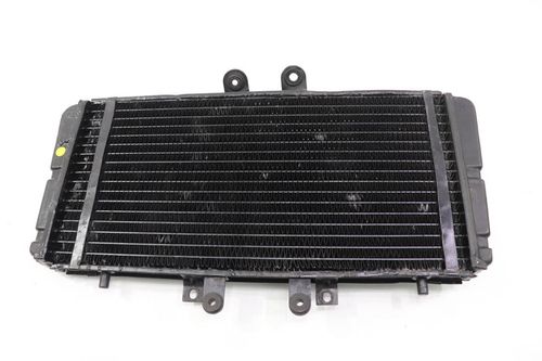 Radiador Triumph Daytona T595 Daytonat595 97-98