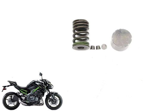 Kit Mola Válvula Admissão Kawasaki Z 900 Z900 19-2