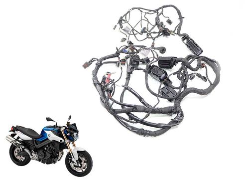 Chicote Principal Bmw F 800 R F800r 15-17