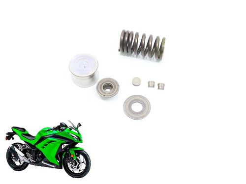 Mola Válvula Escape Kawasaki Ninja 300 Ninja300 13-17