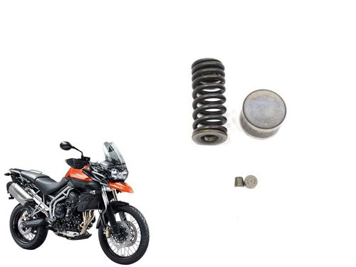 Mola Válvula Admissão Triumph Tiger 800 Tiger800 13-1