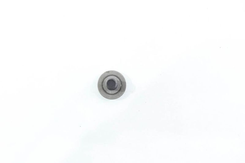 image-e81bf2cff285417abaa06e3e2690792a