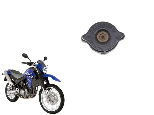 Tampa Radiador Yamaha Xt 660 06-1
