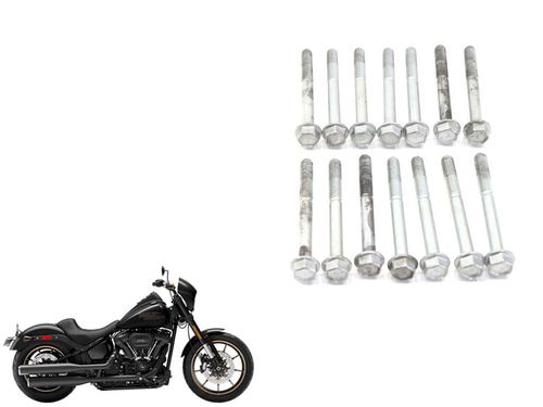 Kit Parafuso Carcaça Motor Harley-davidson Low Rider S 19-2