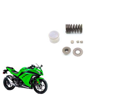 Mola Válvula Escape Kawasaki Ninja 300 Ninja300 13-17