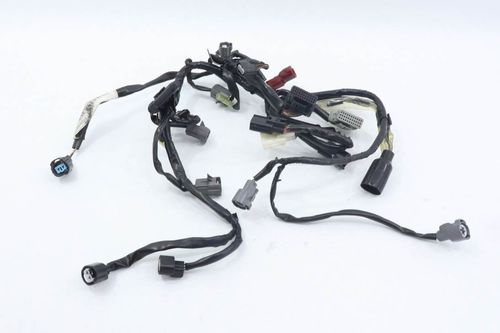 Chicote Motor Honda Hornet 600 Hornet600 08-11