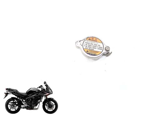 Tampa Radiador Yamaha Fazer 600 05-09