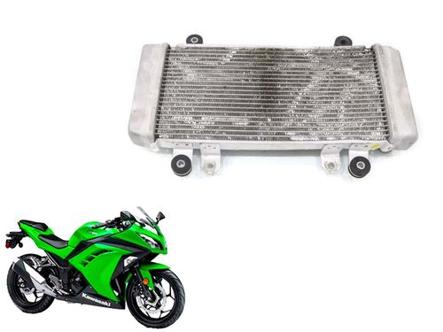 Radiador Kawasaki Ninja 300 13-18 C/detalhe