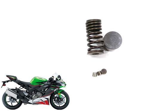 Kit Mola de Escape Kawasaki Zx 6 Zx6 22-2