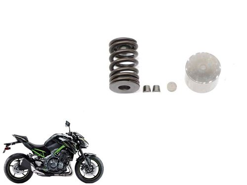 Kit Mola Válvula Admissão Kawasaki Z 900 Z900 19-2